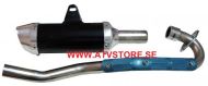 Avgassystem