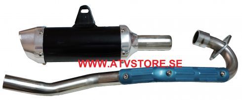 Avgassystem
