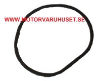 31. O-Ring