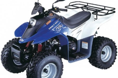 Dinli 100cc 2-Takt