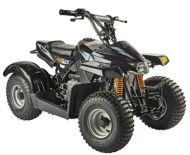 Kitten 50cc