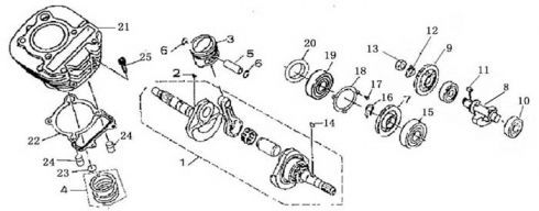 MOTOR