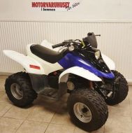 DINLI 100cc 2-Takt