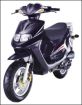 TGB 101 / DELIVERY