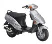 ROLLER - ERGON-SPRINT-203