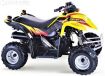 50 - 90cc Hornet
