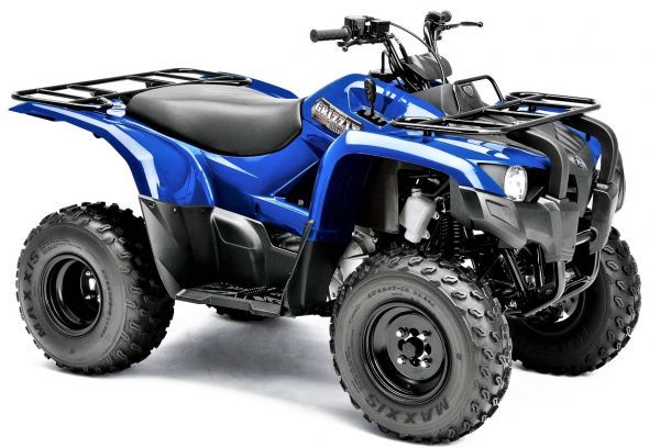 GRIZZLY 300