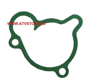 Vattenpumps packning